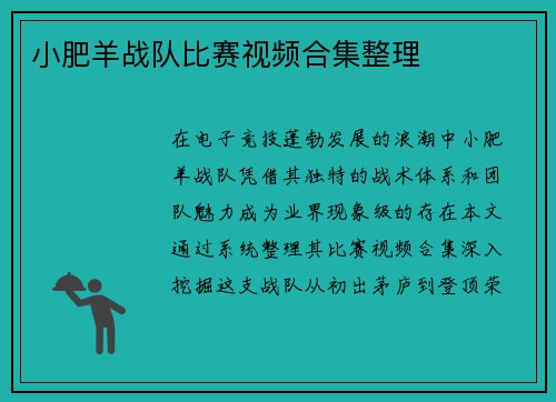小肥羊战队比赛视频合集整理